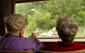 People enjoying the bird blind.