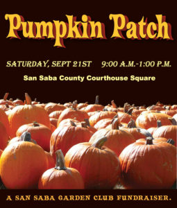 Garden Club Pumpkin Sale @ Courthouse Square